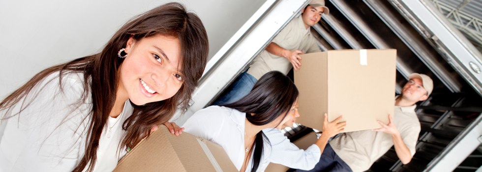 Professional Removalists Ashby NSW